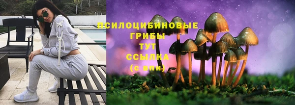 2c-b Алзамай